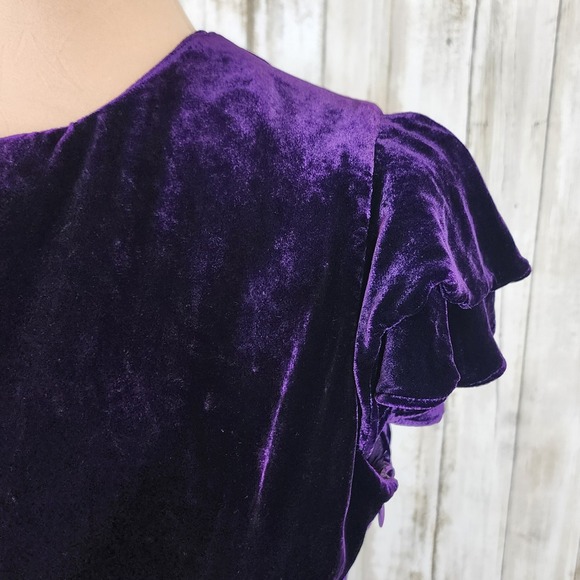 Polo Ralph Lauren Velvet Silk Blend Dress Sz 6 Purple Flutter Sleeve Party - Picture 11 of 15